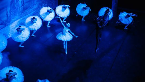 Лето пируэта. Балет «Лебединое озеро»