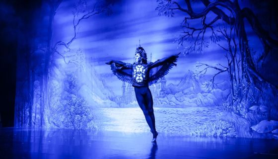 Балет «Лебединое озеро»