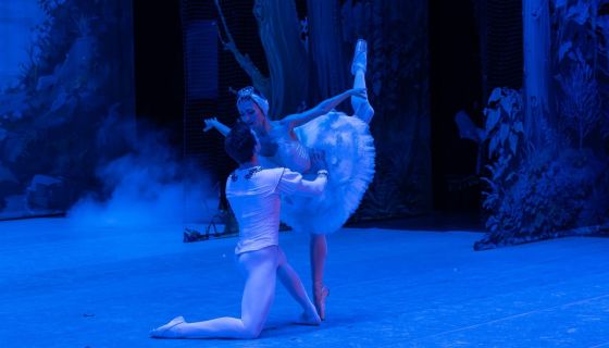 Балет «Лебединое озеро»