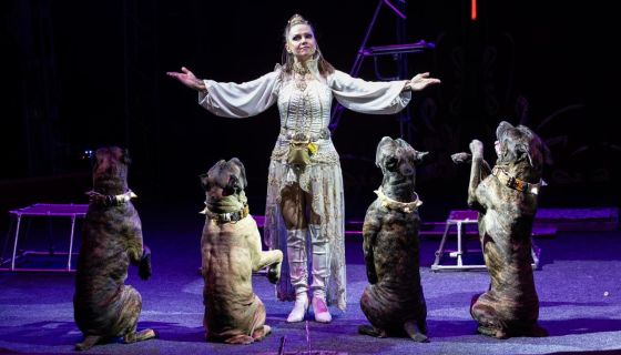 Цирк «Актион», Прокопьевск