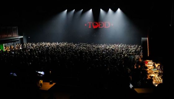 TODD. Музыканты «Король и Шут» и «Северный флот»